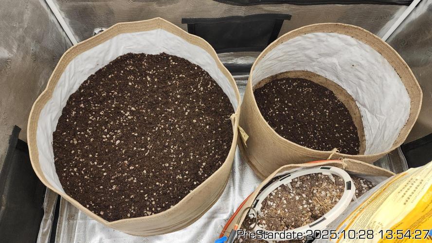 Chill Out OG - MrGrowIt - FabricPotScrog. Week 0