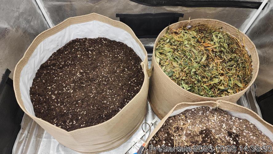 Chill Out OG - MrGrowIt - FabricPotScrog. Week 0