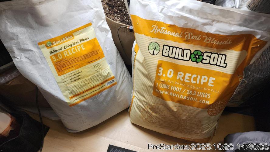 Chill Out OG - MrGrowIt - FabricPotScrog. Week 0