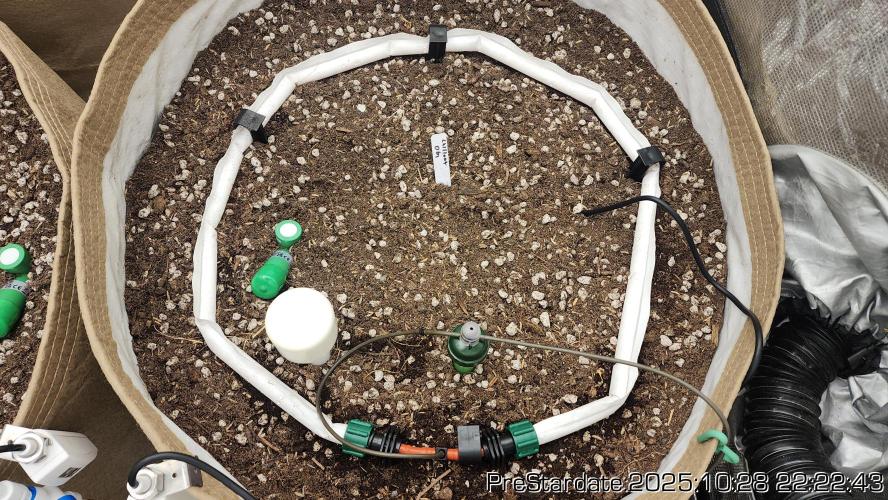 Chill Out OG - MrGrowIt - FabricPotScrog. Week 0