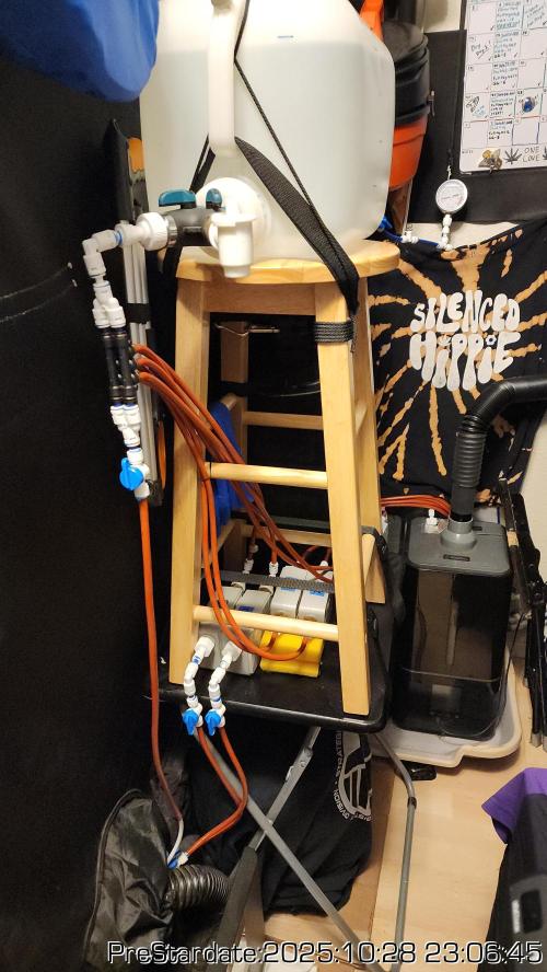 Chill Out OG - MrGrowIt - FabricPotScrog. Week 0