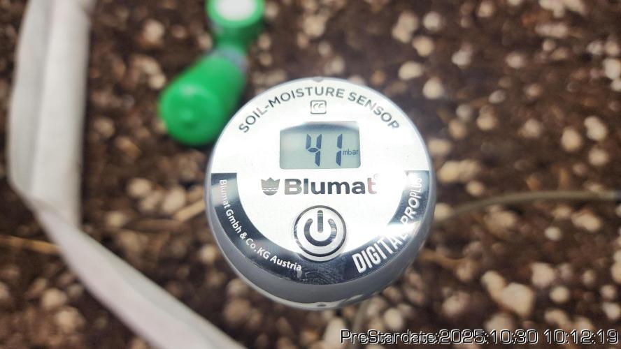 Chill Out OG - MrGrowIt - FabricPotScrog. Week 0