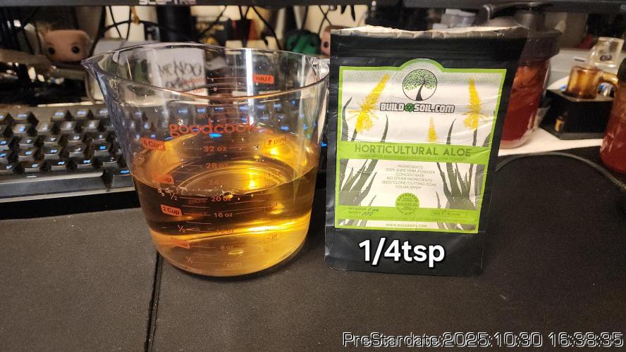 Chill Out OG - MrGrowIt - FabricPotScrog. Week 0