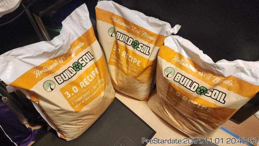 Chill Out OG - MrGrowIt - FabricPotScrog. Week 0