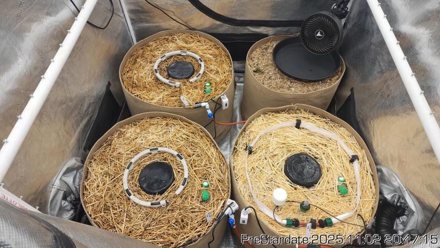 Chill Out OG - MrGrowIt - FabricPotScrog. Week 0