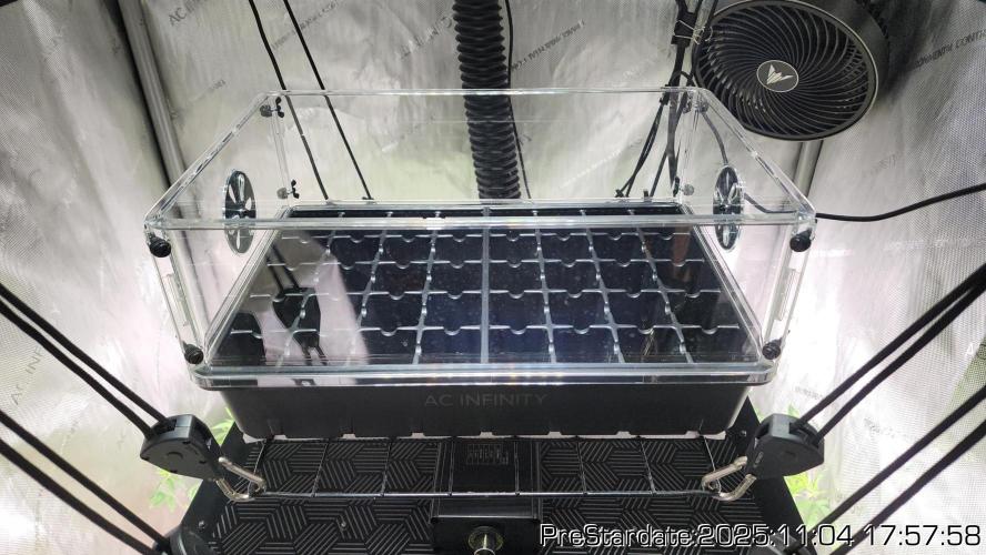 Chill Out OG - MrGrowIt - FabricPotScrog. Week 1