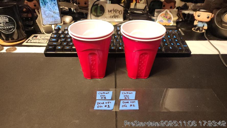 Chill Out OG - MrGrowIt - FabricPotScrog. Week 1