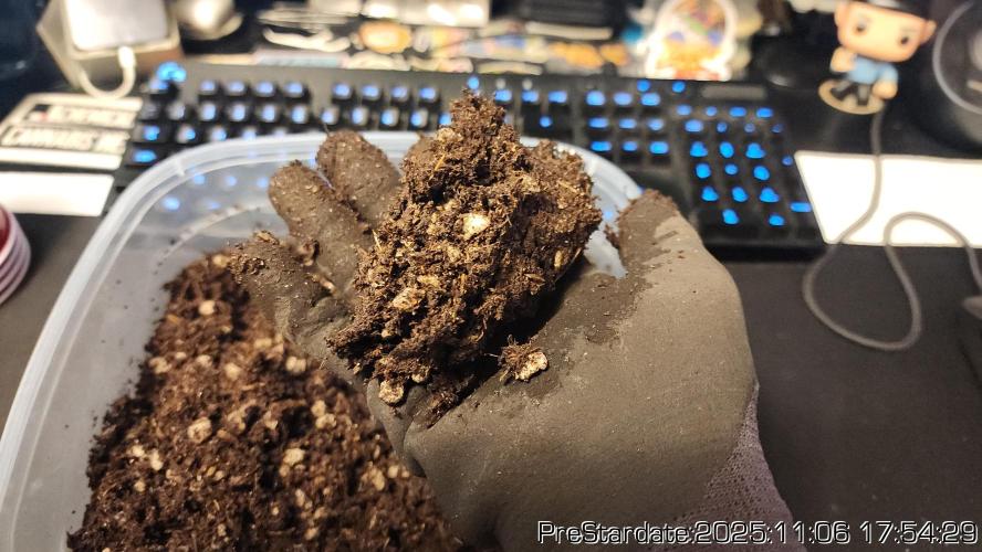 Chill Out OG - MrGrowIt - FabricPotScrog. Week 1