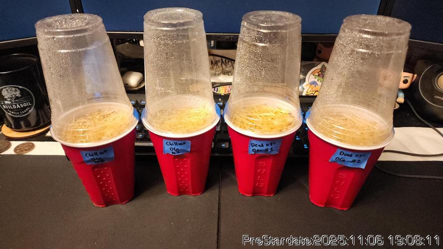 Chill Out OG - MrGrowIt - FabricPotScrog. Week 1