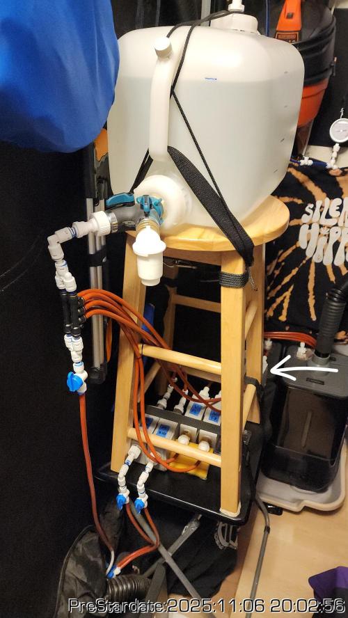 Chill Out OG - MrGrowIt - FabricPotScrog. Week 1