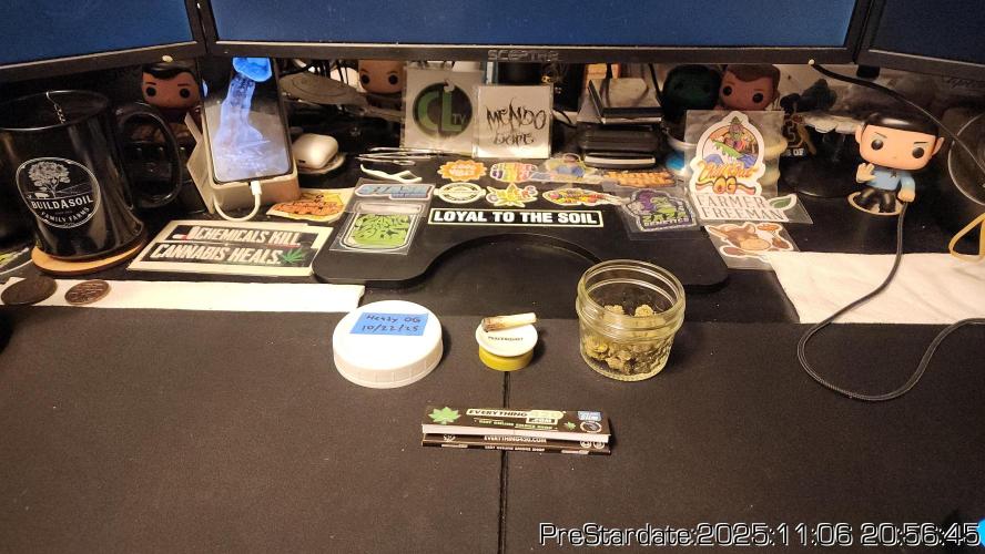 Chill Out OG - MrGrowIt - FabricPotScrog. Week 1