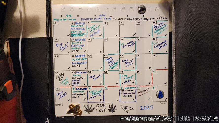 Chill Out OG - MrGrowIt - FabricPotScrog. Week 1