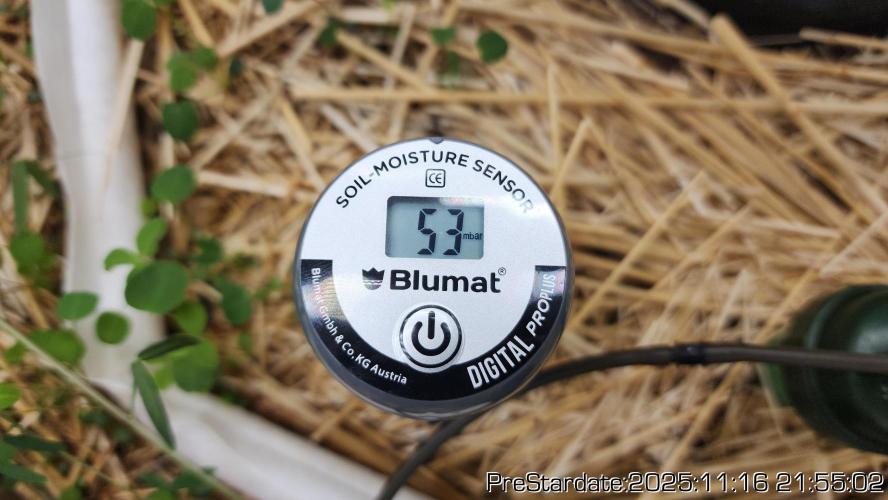 Chill Out OG - MrGrowIt - FabricPotScrog. Week 2