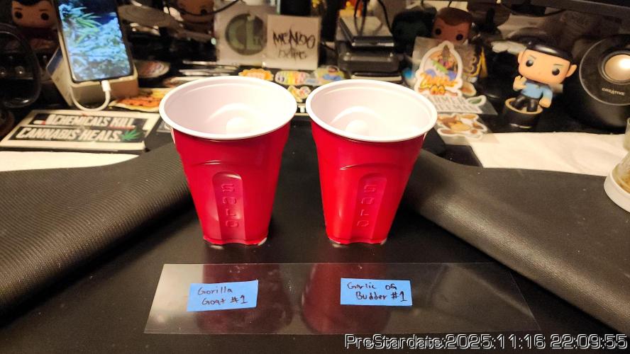 Chill Out OG - MrGrowIt - FabricPotScrog. Week 2