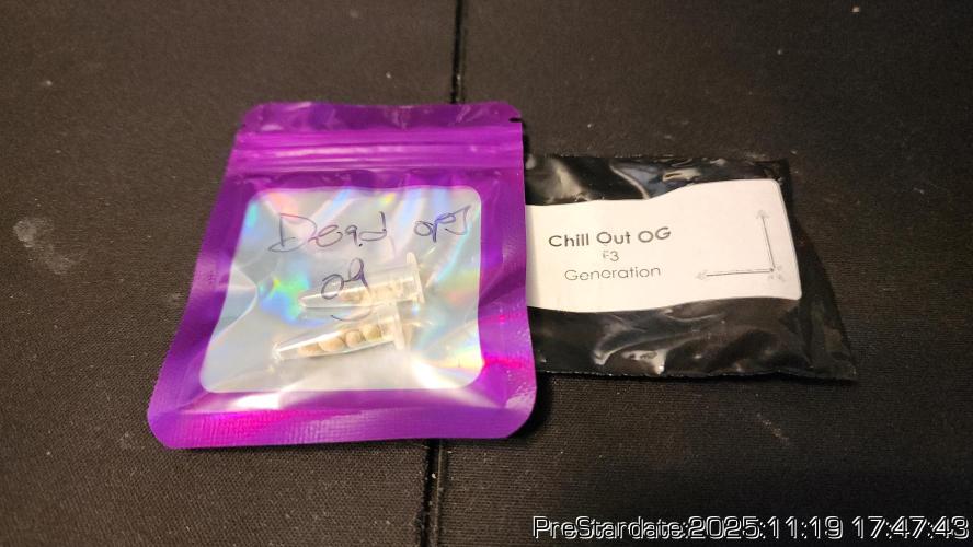 Chill Out OG - MrGrowIt - FabricPotScrog. Week 3