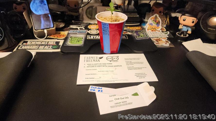 Chill Out OG - MrGrowIt - FabricPotScrog. Week 3