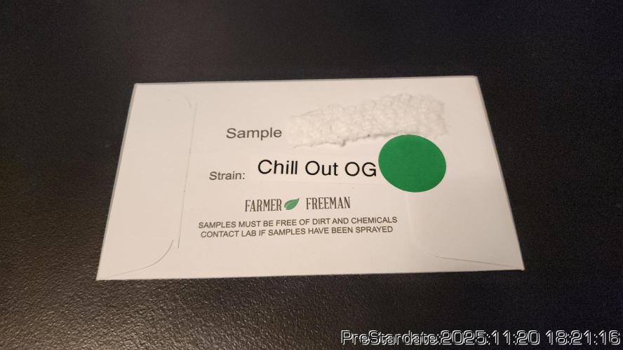 Chill Out OG - MrGrowIt - FabricPotScrog. Week 3