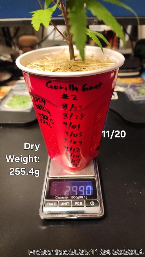 Chill Out OG - MrGrowIt - FabricPotScrog. Week 4