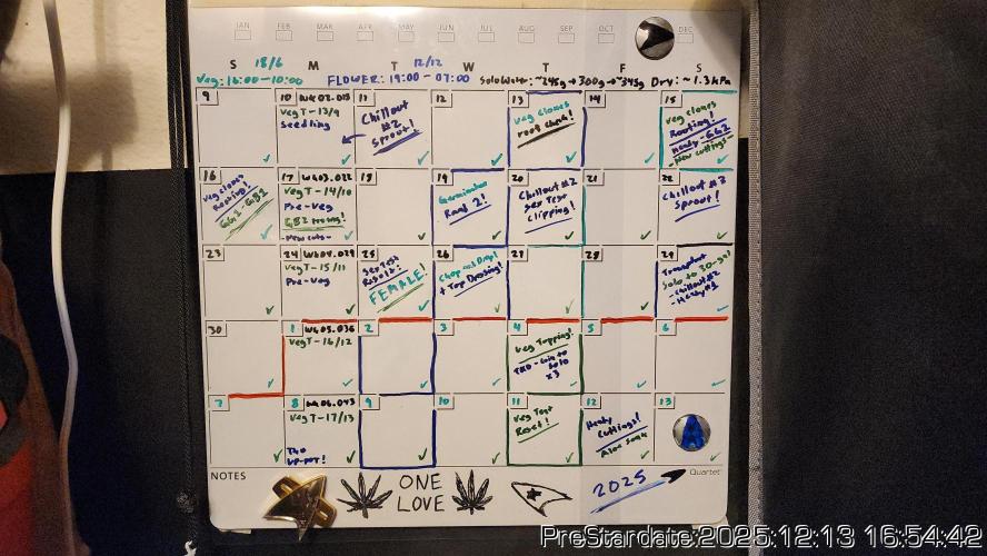 Chill Out OG - MrGrowIt - FabricPotScrog. Week 6