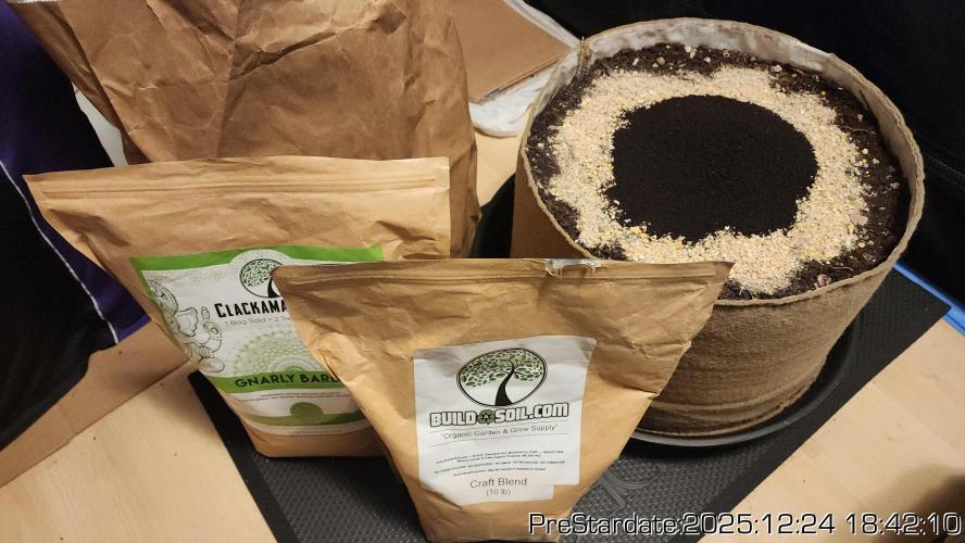 Chill Out OG - MrGrowIt - FabricPotScrog. Week 8