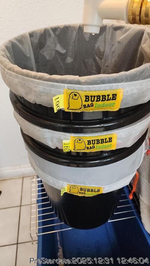 Chill Out OG - MrGrowIt - FabricPotScrog. Week 9