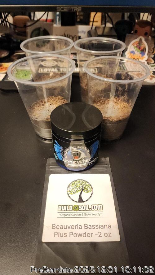 Chill Out OG - MrGrowIt - FabricPotScrog. Week 9