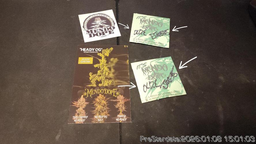 Chill Out OG - MrGrowIt - FabricPotScrog. Week 10