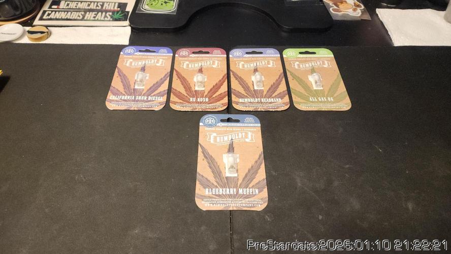 Chill Out OG - MrGrowIt - FabricPotScrog. Week 10