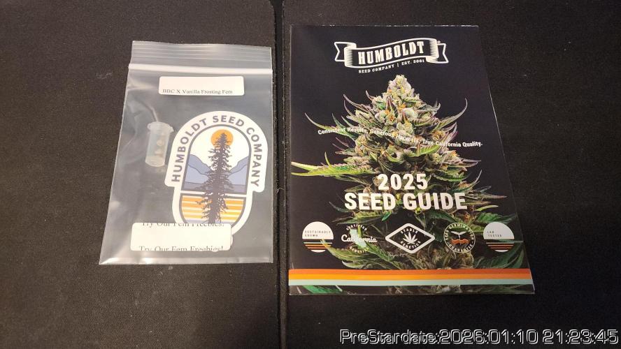 Chill Out OG - MrGrowIt - FabricPotScrog. Week 10