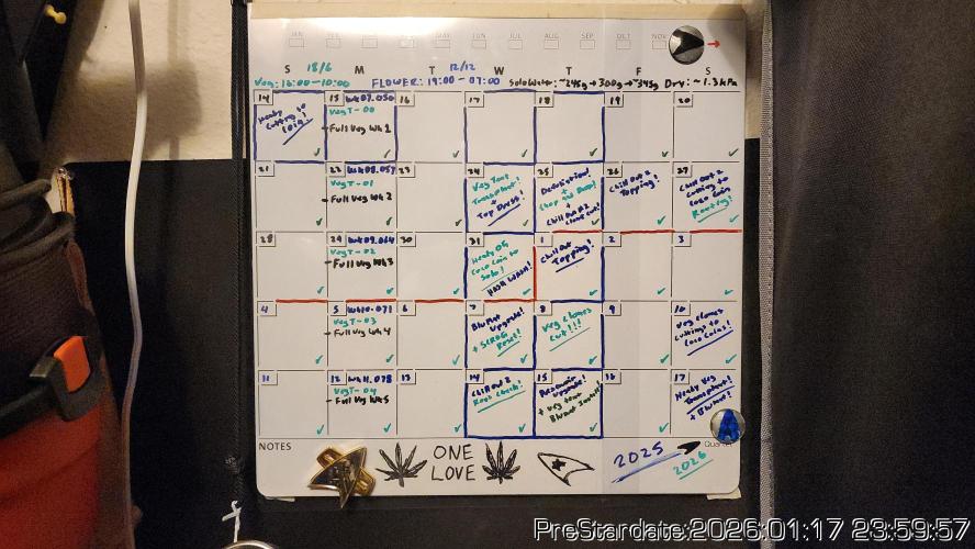 Chill Out OG - MrGrowIt - FabricPotScrog. Week 11