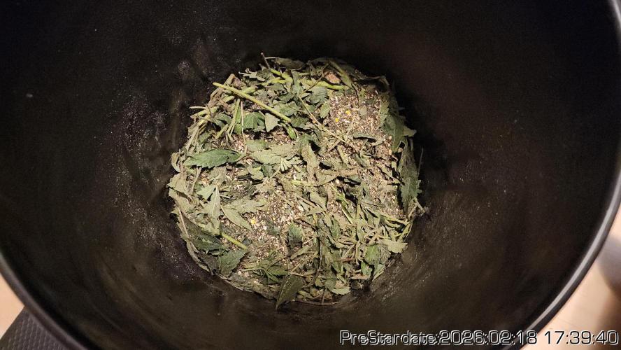 Chill Out OG - MrGrowIt - FabricPotScrog. Week 16