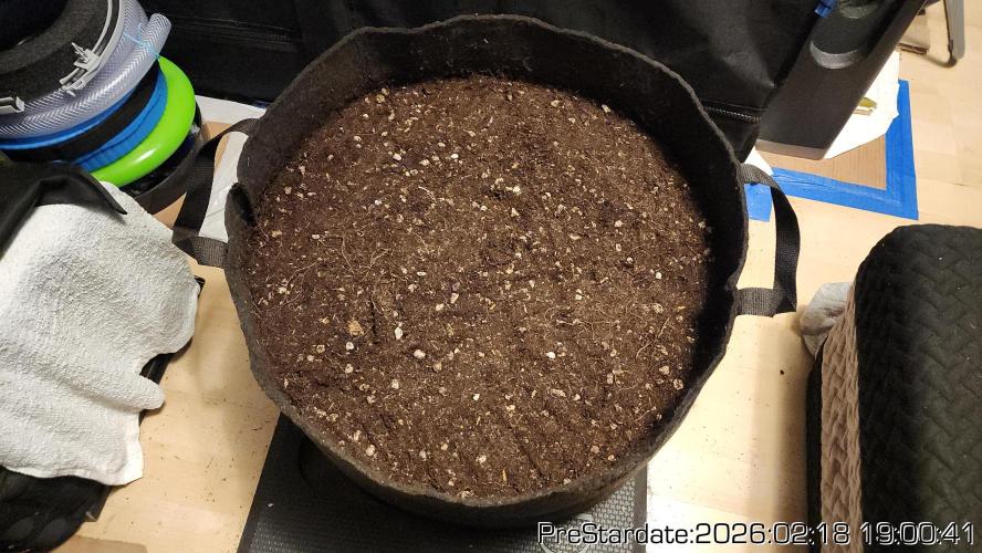 Chill Out OG - MrGrowIt - FabricPotScrog. Week 16