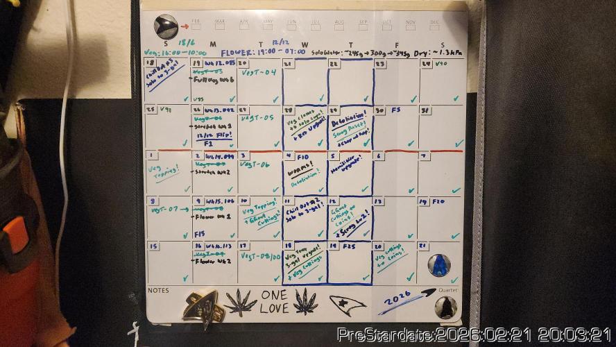 Chill Out OG - MrGrowIt - FabricPotScrog. Week 16