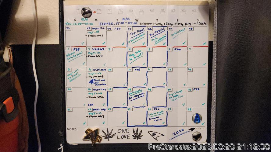 Chill Out OG - MrGrowIt - FabricPotScrog. Week 21