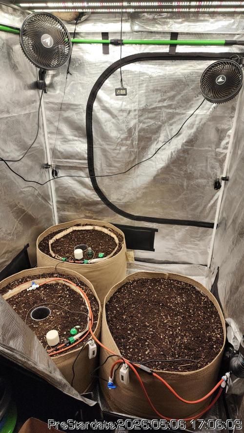 TKO x Heady OG BX1 – JLG | MDF. Week 0