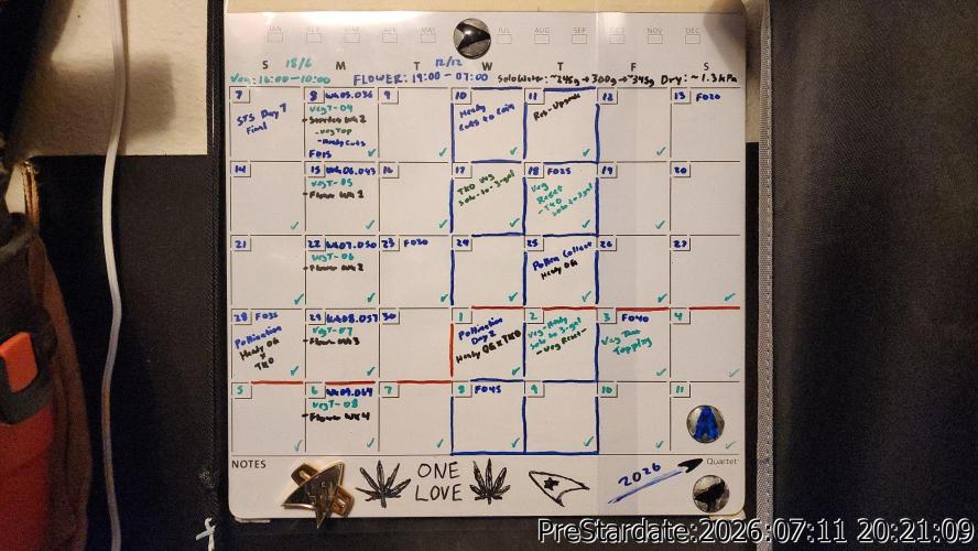 TKO x Heady OG BX1 – JLG | MDF. Week 9