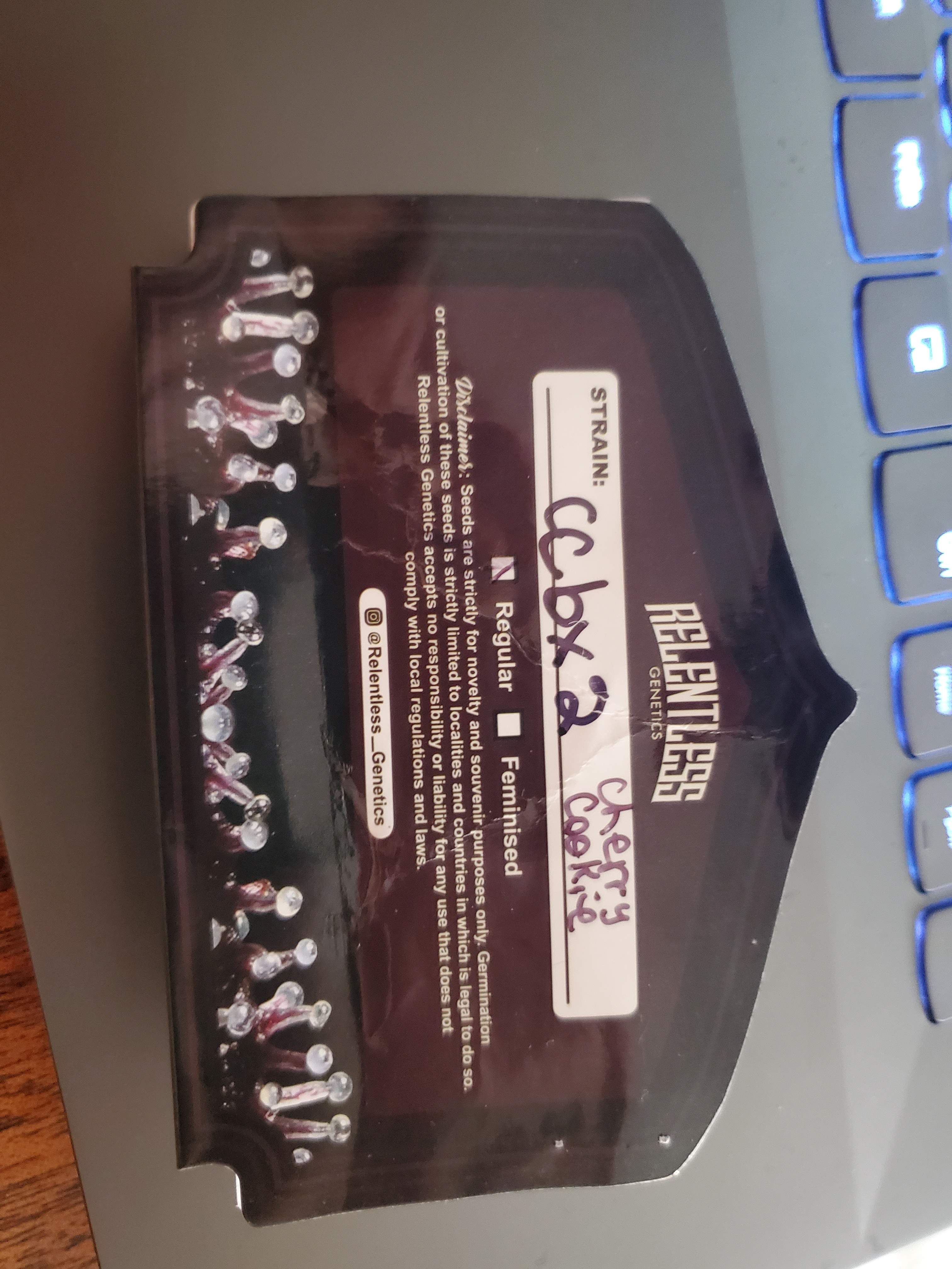 Relentless Cherry Cookie Bx2 grow diary (journal) week1 by