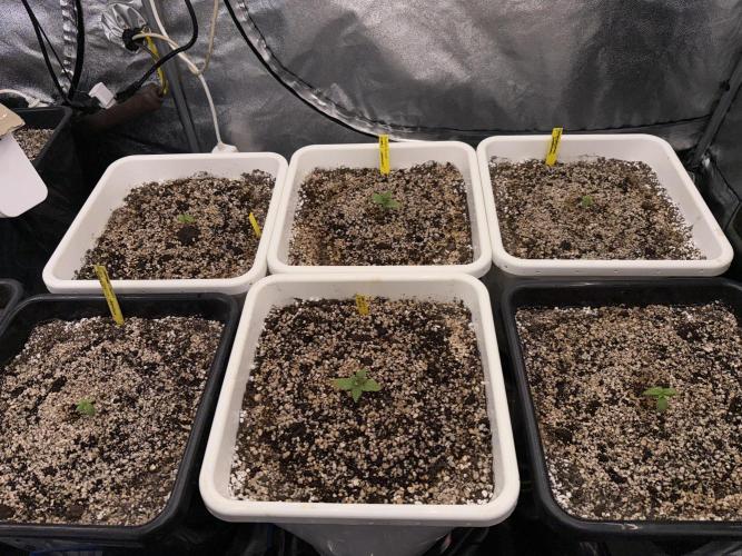 November 2025. Week 1