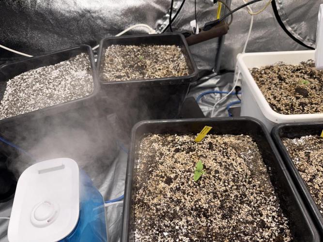 November 2025. Week 1