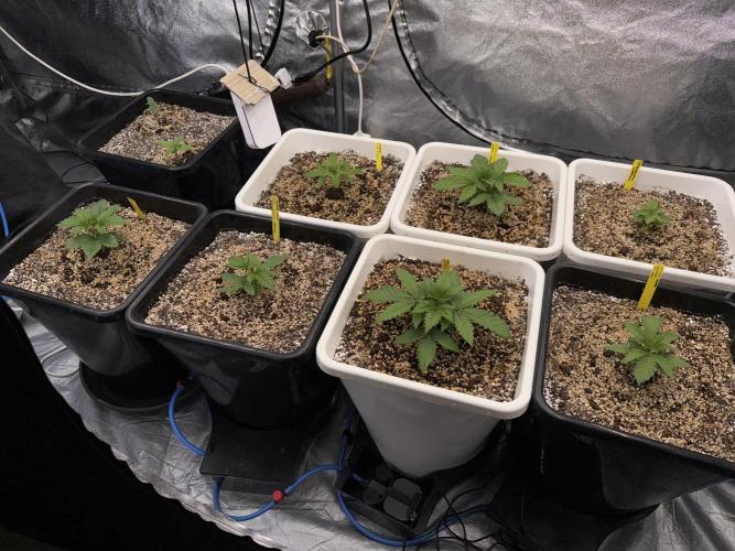 November 2025. Week 2