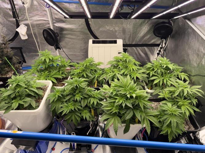 November 2025. Week 6