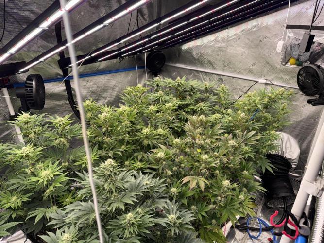 November 2025. Week 10