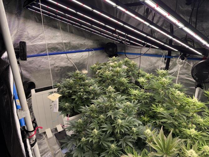 November 2025. Week 10