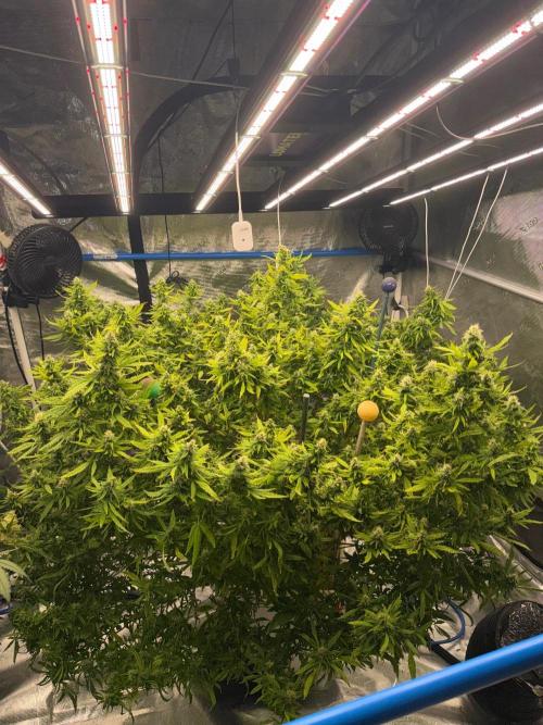 Hindu Kush outside. Week 19