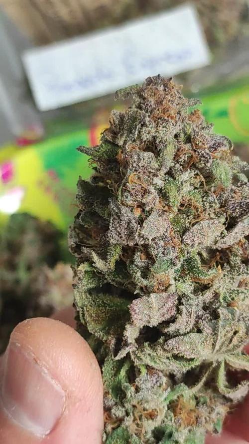 Pineapple Express