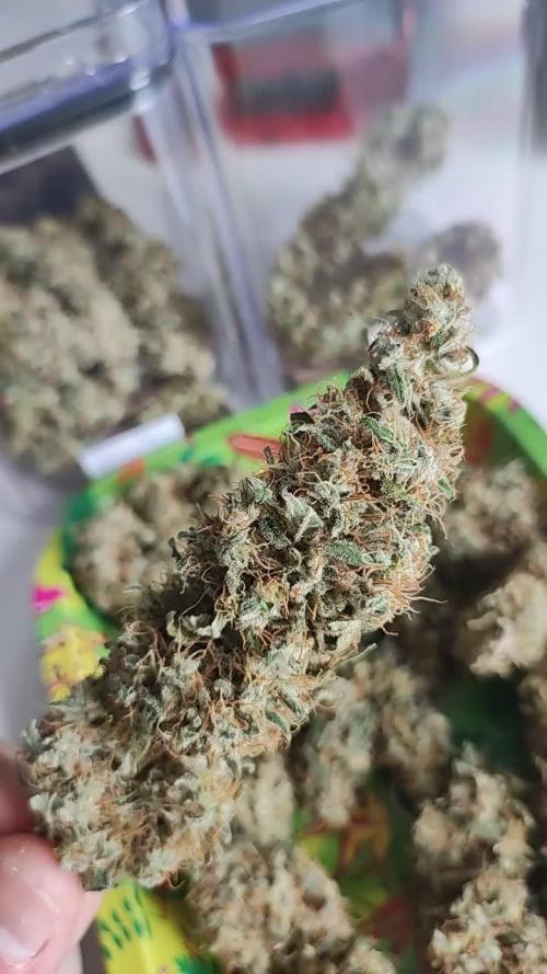 Tangie