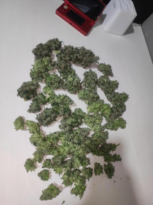 Radical Juice #1. Week 12