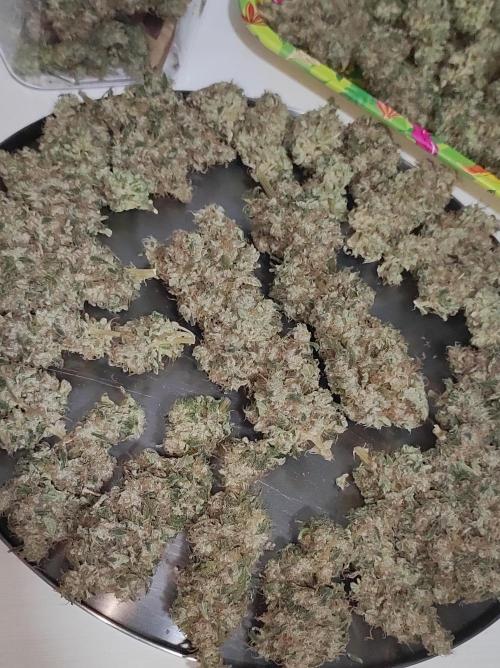 Radical Juice #1. Week 12