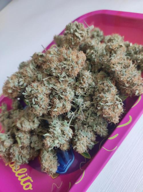 TUTIFRUIT #Santa Maria. Week 14