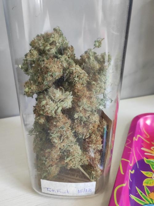 TUTIFRUIT #Santa Maria. Week 14